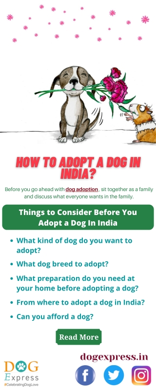 How To Adopt A Dog In India?