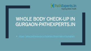 Whole Body Check-up in Gurgaon-Pathexperts.in