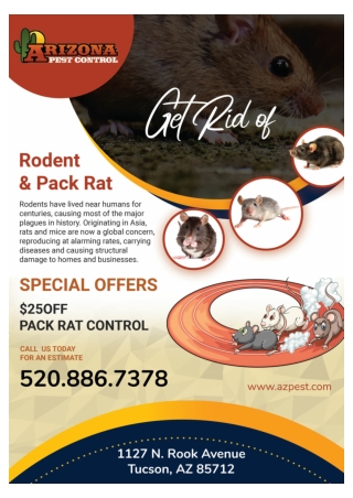 Tucson Rodent Control | Tucson commercial pest control