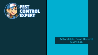 Affordable Pest Control Services - Pest Control Expert
