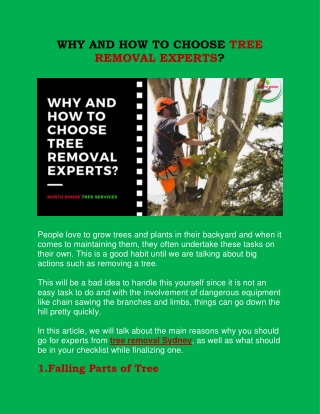 Why and How To Choose Tree Removal Experts?