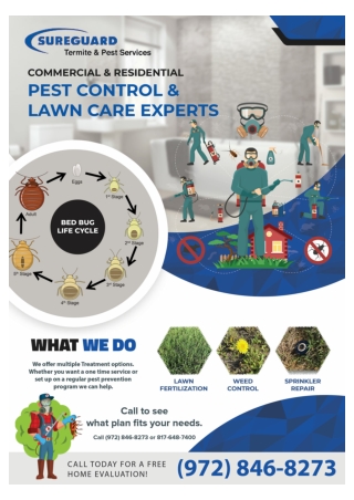 Dallas Bed Bug Control | Dallas Wildlife Control