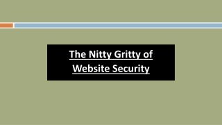 The Nitty Gritty of Website Security