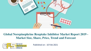 Global Norepinephrine Reuptake Inhibitor Market Report 2019 - Market Size, Share, Price, Trend and Forecast