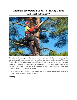 What are the Useful Benefits of Hiring a Tree Arborist in Sydney?