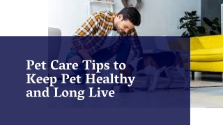Pet Care Tips to Keep Pet Healthy and Long Live
