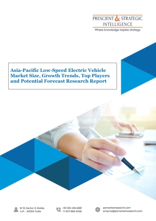 Asia-Pacific Low Speed Electric Vehicle Market Potential Forecast Research Report