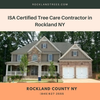 ISA Certified Tree Care Contractor in Rockland NY