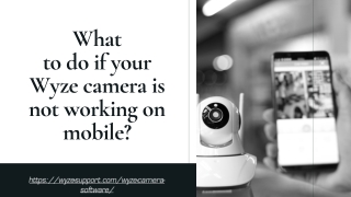 What to do if your Wyze camera is not working on mobile_