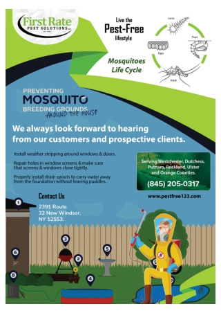 Exterminator Orange County | Bee Removal Orange County
