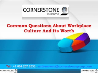 Common Questions About Workplace Culture And Its Worth