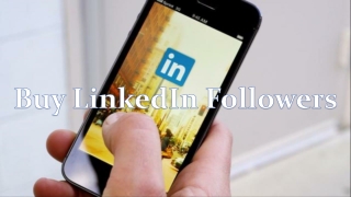 How to Get Support from LinkedIn?