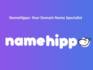 NameHippo: Your Domain Name Specialist