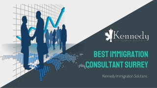 How Immigration Consultants Can Help You – Kennedy Immigration Solutions
