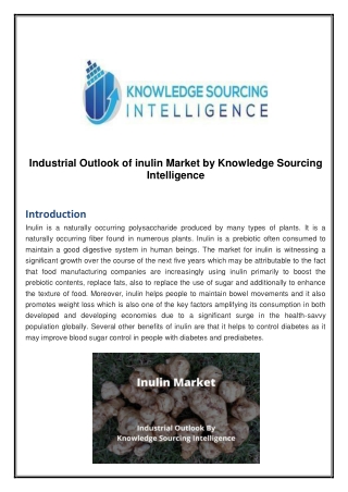 Industrial Outlook of Inulin Market