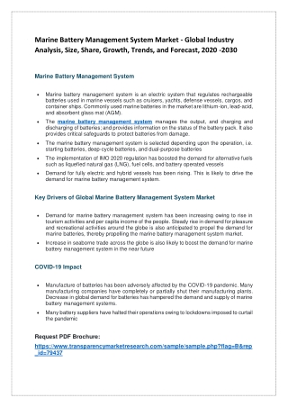 Marine Battery Management System Market - Global Industry Analysis, Size, Share, Growth, Trends, and Forecast, 2020 -203