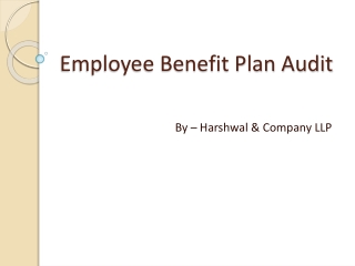 Employee Benefit Audit Plan Services in USA - HCLLP