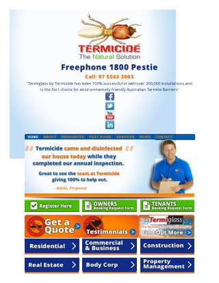 Termite Management Gold Coast