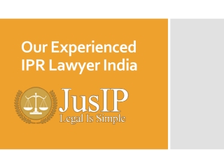 The Experienced  Corporate Lawyer India