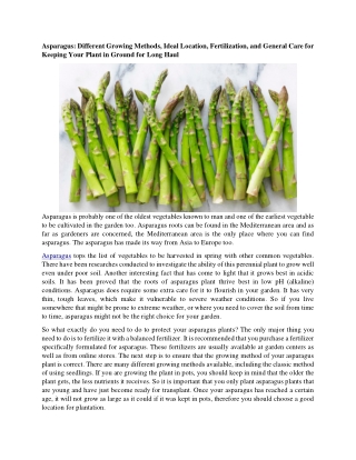 Asparagus: Different Growing Methods, Ideal Location, Fertilization, and General Care for Keeping Your Plant in Ground f