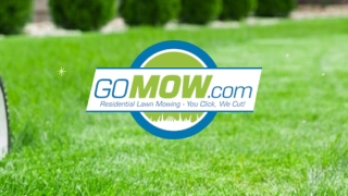 Professional Lawn maintenance and Lawn care service in Garland,TX