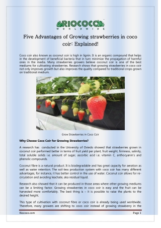 Five Advantages of Growing strawberries in coco coir: Explained!