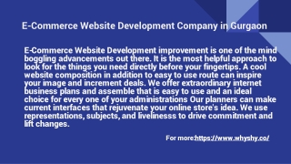 E-Commerce Website Development Company in Gurgaon