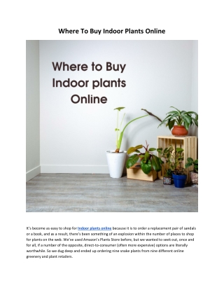 Where To Buy Indoor Plants Online