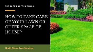 How to Take Care of Your Lawn or Outer Space of House?