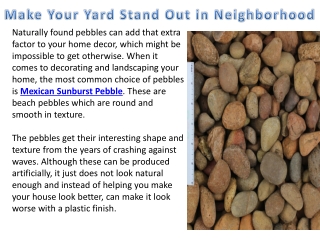 Make Your Yard Stand Out in Neighborhood