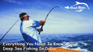 Everything You Need To Know About Deep Sea Fishing In Dubai