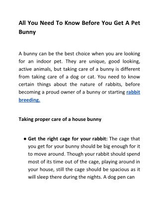 All You Need To Know Before You Get A Pet Bunny