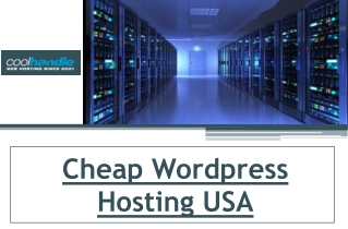 Cheap Wordpress Hosting USA