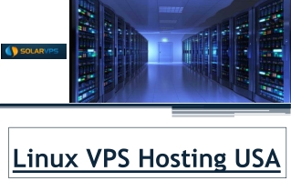 Linux VPS Hosting USA