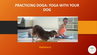 Practicing Doga: Yoga With Your Dog