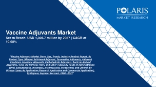 Vaccine Adjuvants Market Share, Size, Trends, Industry Analysis Report, By Product Type (Mineral Salt-based Adjuvant, Te