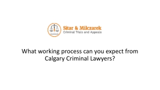 What working process can you expect from Calgary Criminal Lawyers?