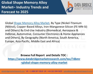 Shape memory alloy market