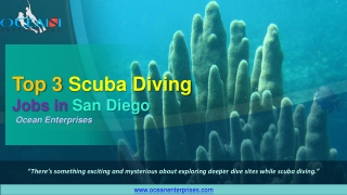 Top 3 Scuba Diving Jobs in San Diego, CA - Ocean Enterprises
