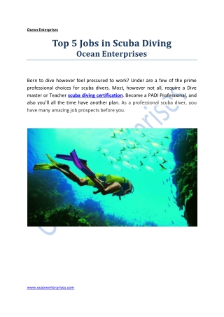 Top 5 Jobs in Scuba Diving - Ocean Enterprises | PDF