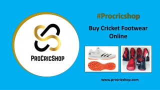 Buy Cricket Footwear USA