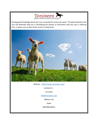 Buy Animal Medicines Online | Torsineen.com