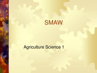 SMAW