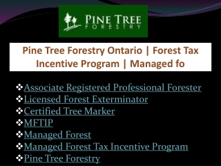 Certified Tree Marker