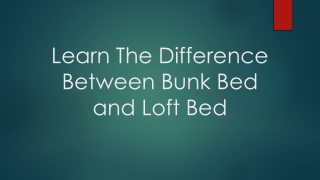 Learn The Difference Between Bunk Bed and Loft Bed