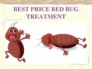 Specialized team of chemical free bed bug treatment