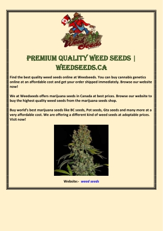 Premium Quality Weed Seeds | Weedseeds.ca