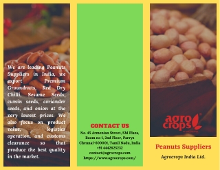 One of The Best Peanuts Suppliers In India