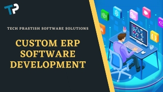 Hire Professional ERP Web Services