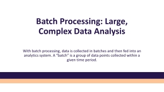 Batch Processing: Large, Complex Data Analysis